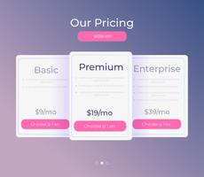 Our Pricing Different Categories of Money pricing vector