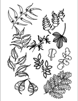 Set of Doodle Leaves hand draw vector