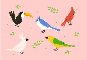 Bird Clipart Set Vector Illustration