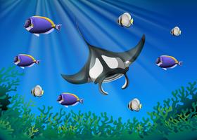 Stingray and many fish under the ocean vector