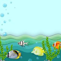 A sea with fishes vector