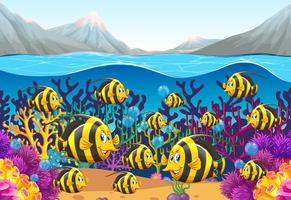 Scene with fish swimming under the sea vector