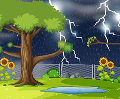 Storn nature park scene vector