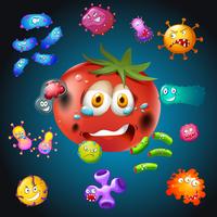 Fresh tomato with bacteria vector
