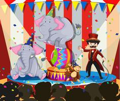 Exposición de animales en el circo. vector
