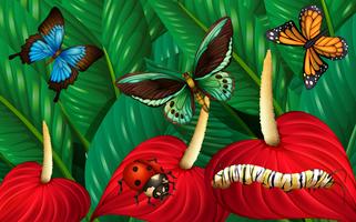 Butterflies and other insects in garden vector