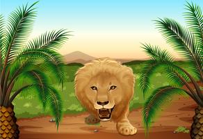 A lion at the jungle vector