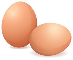 Raw eggs vector