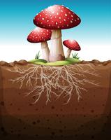 Red mushroom growing from the ground vector