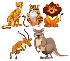 Los animales vector