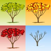 Scene of tree in different seasons vector