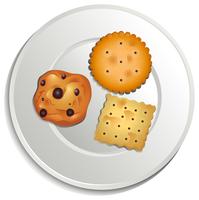 A plate with biscuits vector