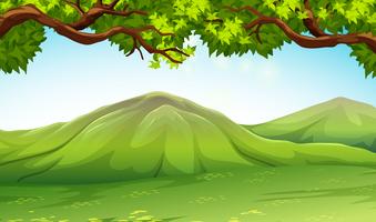 Scene with moutains and trees vector