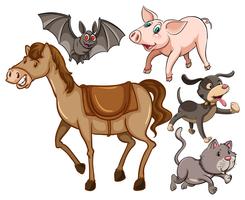 Los animales vector