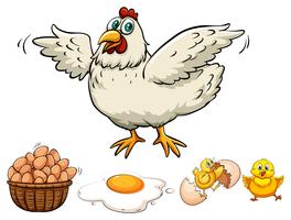 Chicken and eggs in basket vector