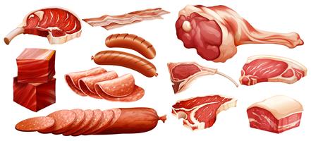Conjunto de diferentes carnes. vector