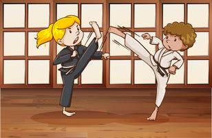 Karate vector