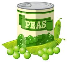 Green peas in can vector