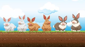 Easter rabbits standing on the ground vector