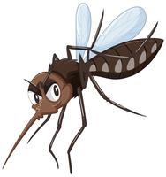 Mosquito in brown color vector