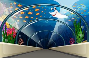Public Aquarium with fish and coral reef vector