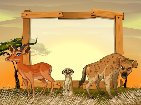 Frame design with wild animals in the field