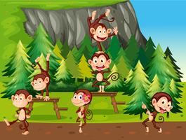 Monkeys and park vector