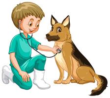 Veterinario examinando perro con estetoscopio vector