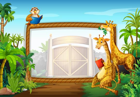 Frame design with giraffe and owl