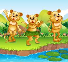 Lions dancing by the river vector