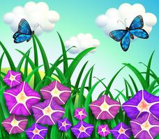 A garden at the hill with purple flowers vector