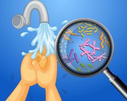 A close up bacteria on hands vector
