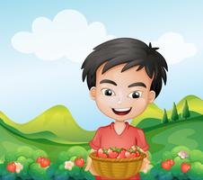 A boy holding a basket of strawberries  vector