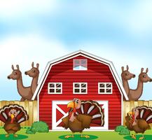 Farm animals vector