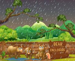 Three bears in the zoo on rainny day vector