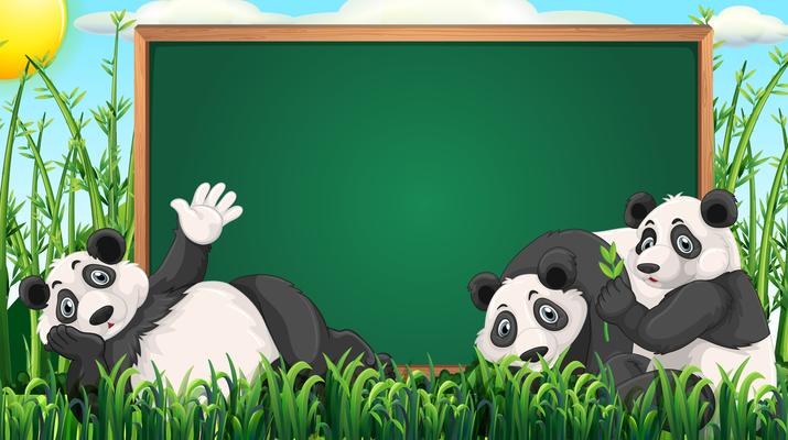 Board design with three pandas on grass
