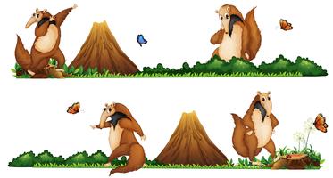 Anteaters walking in the field vector