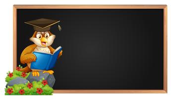 Empty blackboard and owl reading book vector