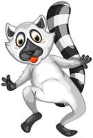 Sr. Lemur vector