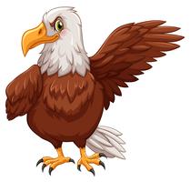 Eagle standing on white background vector