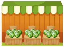 A shop of watermelons with empty boards vector