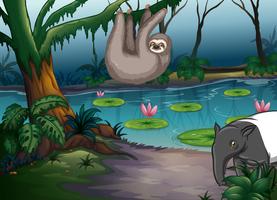 Animals and pond vector