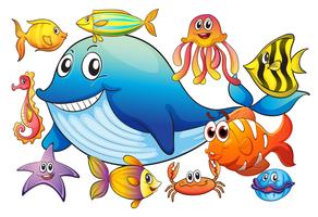 Different kind of sea animals vector