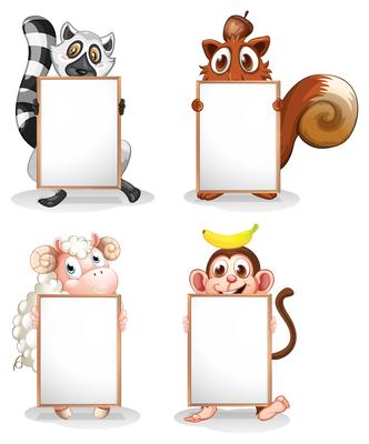 Four different animals with empty whiteboards