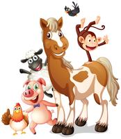 Different kind of farm animals vector