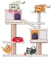 Cats playing on cat condo vector