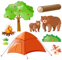 Bears and camping elements vector