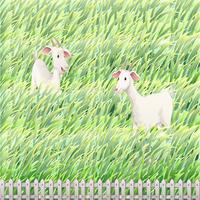 Two goats in the farm  vector