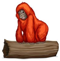 orangutan vector