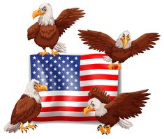 American flag and four eagles vector